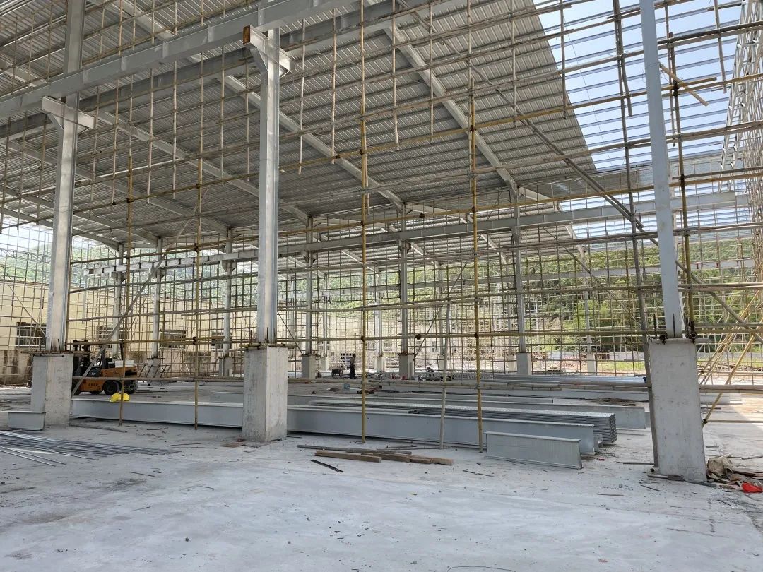 双统筹 双胜利丨白诸镇：让闲置地旧厂房变身推动发展的新高地